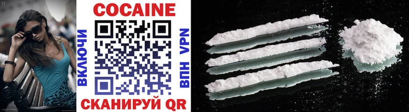 Купить закладки  Вилючинск  Cocaine Колумбийский 