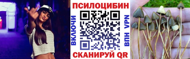 Купить закладки  Вилючинск  Галлюциногенные грибы Magic Shrooms 